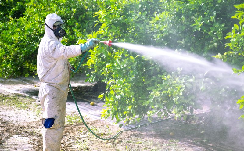 Commercial Fumigation in Katy, TX
